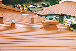 Bild 2:3. Förzinkad stålplåt som tidigare byggplatsmålades men numera färgbeläggs industriellt är ett vanligt takmaterial. Foto: Torbjörn Osterling.