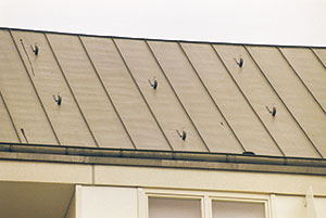 Bild 11:10. Säkerhetshakar på ett tak i Tyskland.