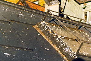 Bild 12:25. Fågelträck kan ge lokala korrosionsangrepp. Foto: Torbjörn Osterling.