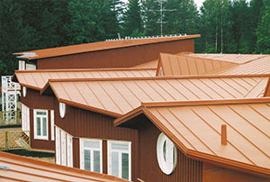 Bild 12:59. Ett vackert tak förtjänar att underhållas. Foto: Torbjörn Osterling.